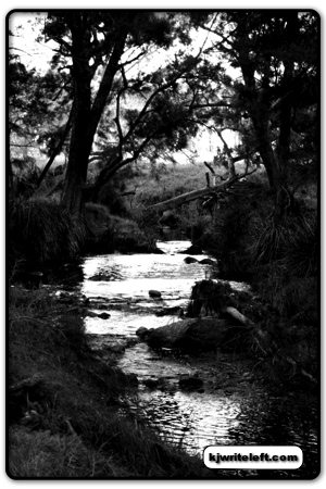 "Then I Passed" River Photo Photo of a river in black and white